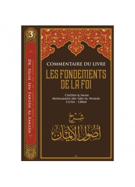 Commentaire du livre les...